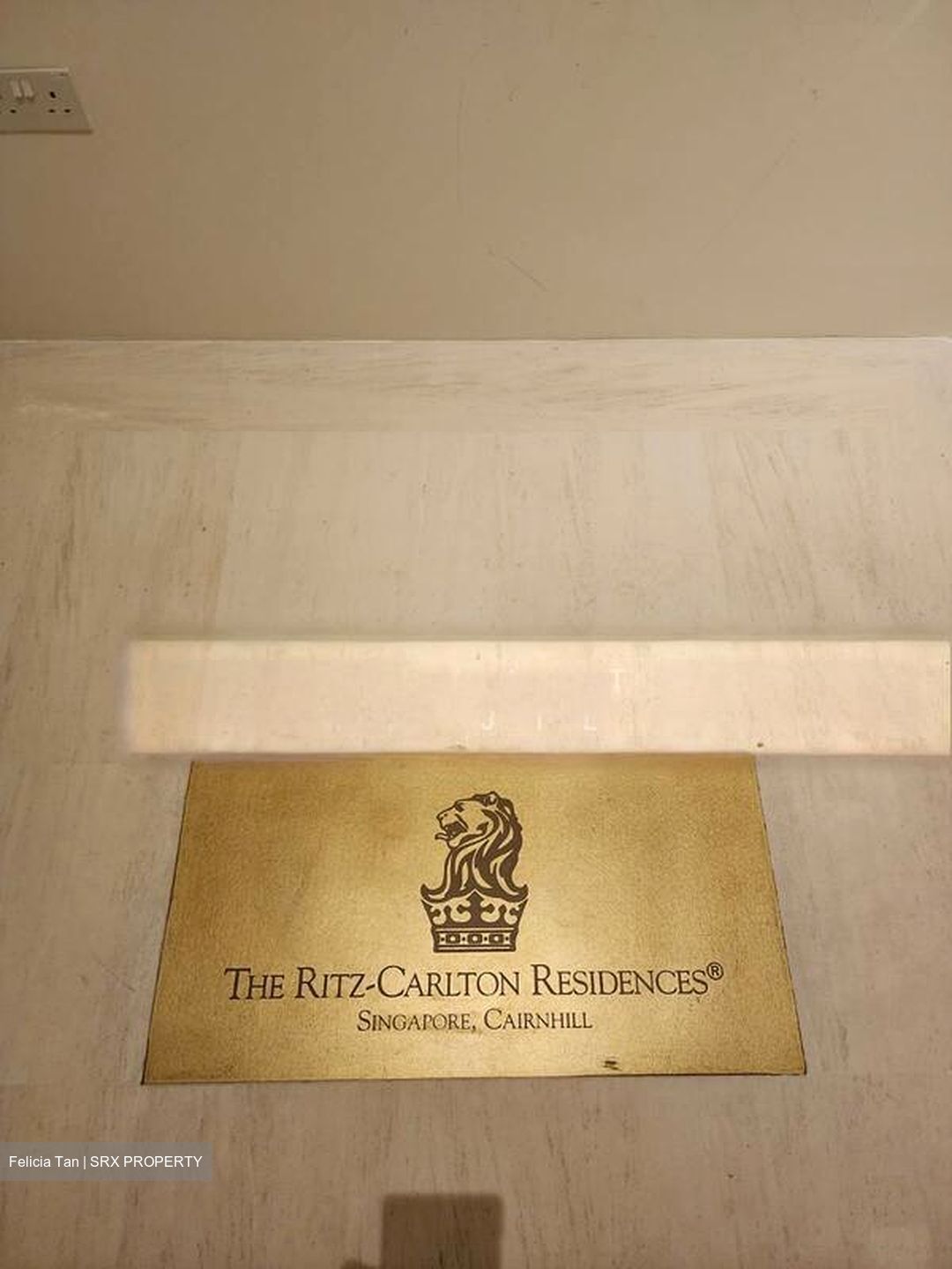 The Ritz-Carlton  (D9), Condominium #504076831